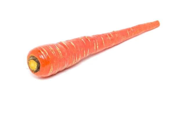 Porkkana — kuvapankkivalokuva
