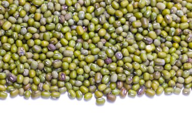 Yeşil mung fasulye kenarlık.