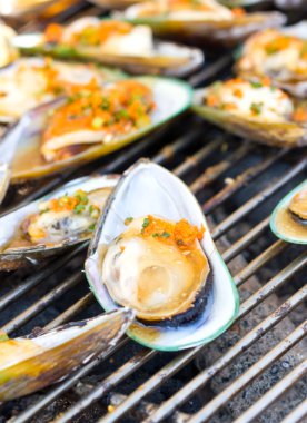 ızgara yeşil midye.