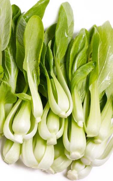 Fresh green bok choi — Stock Photo, Image