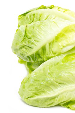 Bebek yüzünden marul.