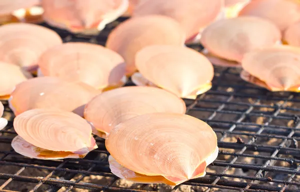 Scallop on grill. — Stock Photo, Image