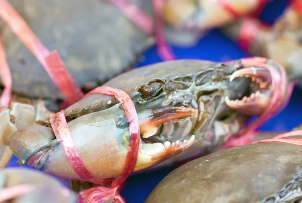 Rå krabba på hyllan. — Stockfoto