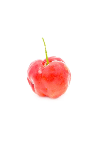 Barbados cherry — Stockfoto
