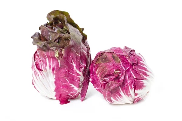 Radicchio — Stockfoto