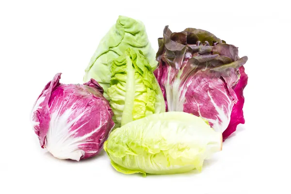 Baby Cos, Radicchio and White Cabbage. — Stock Photo, Image