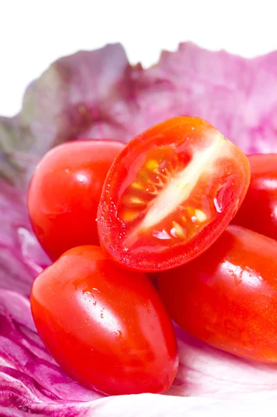 Cherry rajčata s čekankou list. — Stock fotografie