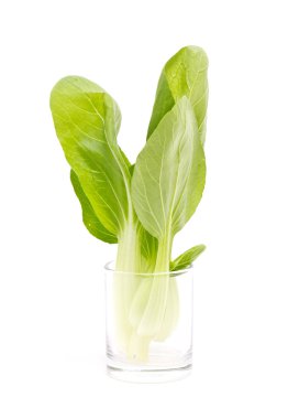 taze yeşil bok choi
