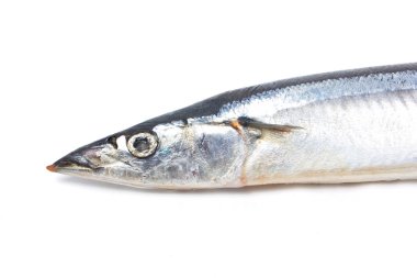 taze Pasifik saury