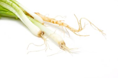 soğan ve kişniş kökü