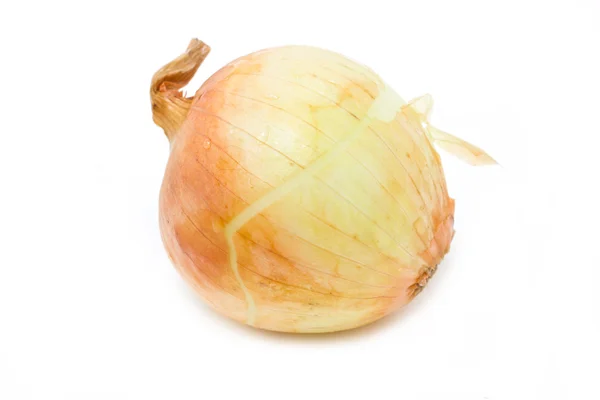 Ripe onion — Stock Photo, Image