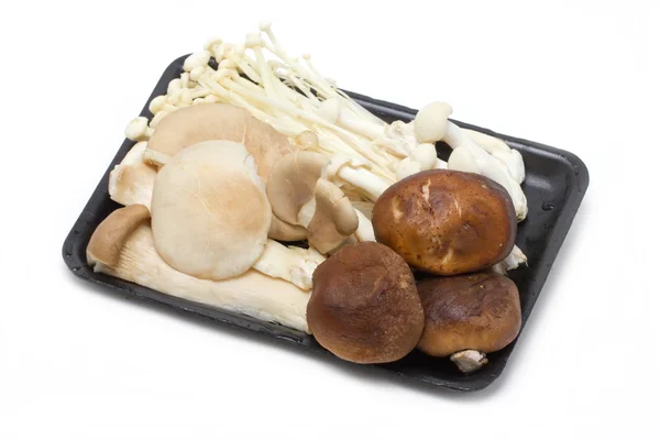 Mushrooms in container — Stock Photo, Image