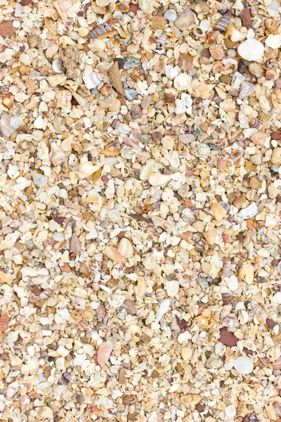 Sand texture background. — Stock Photo, Image