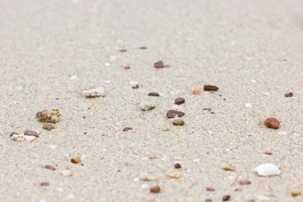 Guijarros en la playa . — Foto de Stock