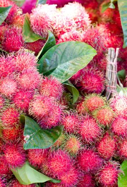 Rambutan