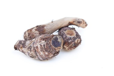 Taro aislado en blanco.