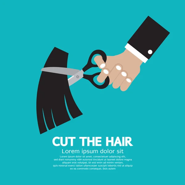 Cut The Hair Vector Illustration — Stock Vector