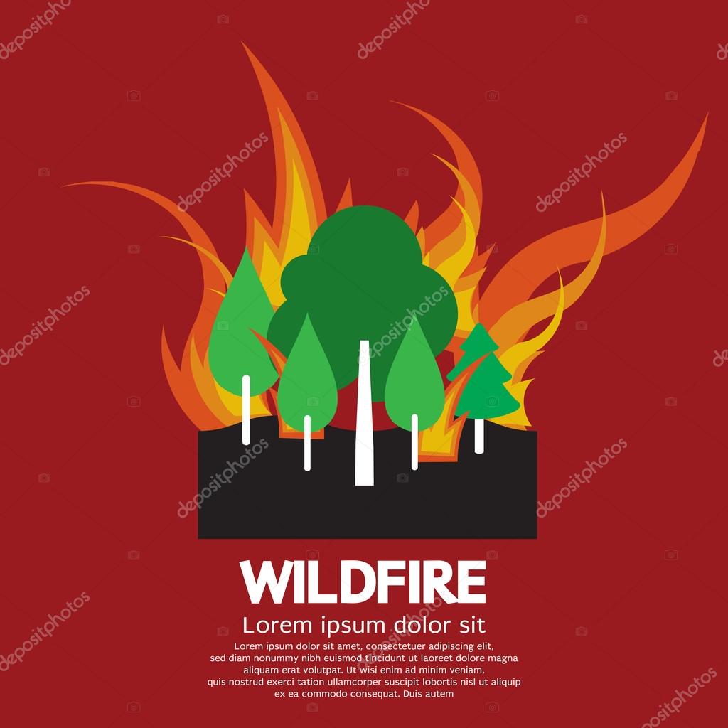 Wildfire Vector Illustration — Stock Vector © happymay #44568863