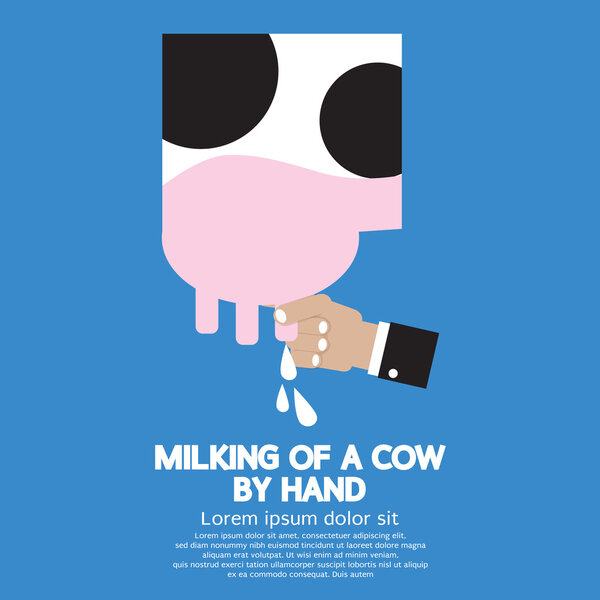 Milking of a Cow Vector Illustration