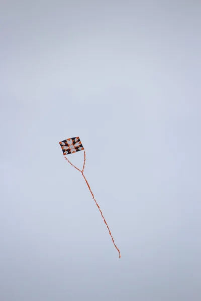 飛べない龍 — ストック写真