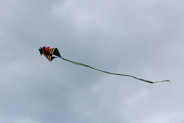 Un dragón sin vuelo — Foto de Stock