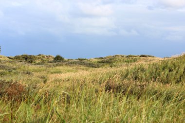 Yaz aylarında Kuzey Denizi tepeleri
