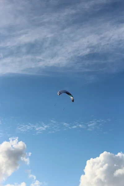 Un drago senza volo — Foto Stock