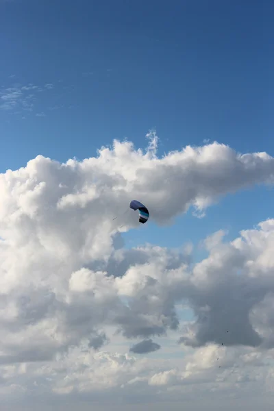 Un drago senza volo — Foto Stock