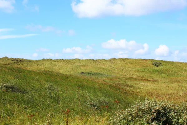 Nordsjön sanddyner i sommar — Stockfoto