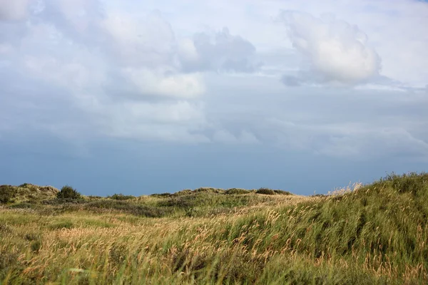 Severní moře dun v létě — Stock fotografie