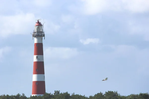 One lighthouse on the North Sea — Stock Photo, Image