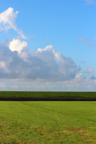 Ein Nordseedeich — Stockfoto