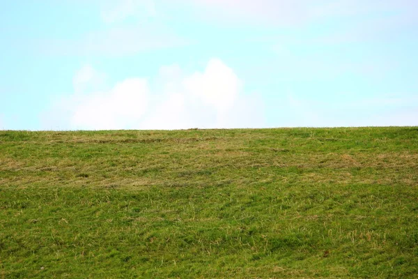 Ein Nordseedeich — Stockfoto