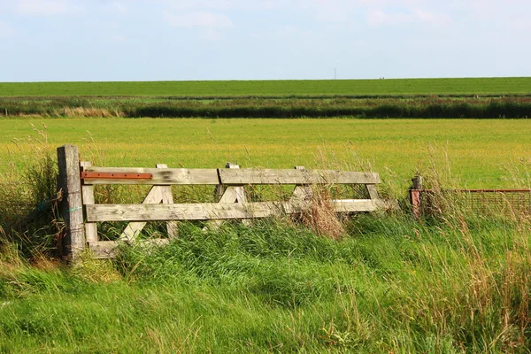 Ein Nordseedeich — Stockfoto