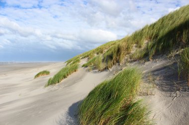 Kuzey Denizi'nde beach