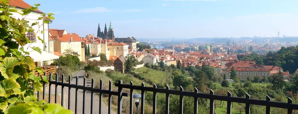 Vista Panorámica Ciudad Checa Praga Desde Punto Vista Cerca Del — Foto de Stock