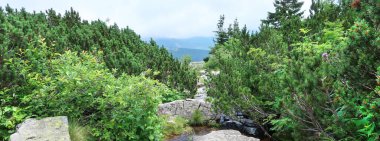 Pancavske Vodopady (Pancava Şelaleleri) Krkonose, Giant Dağları, Çek Cumhuriyeti, Bohemya Bölgesi, Elbe nehri üzerinde.