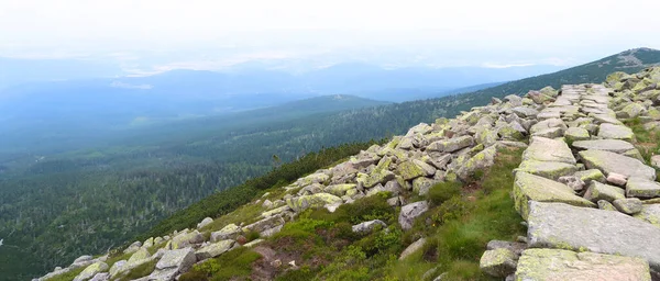 Sendero Montaña Snezne Jamy Krkonose Montañas Gigantes República Checa Región — Foto de Stock