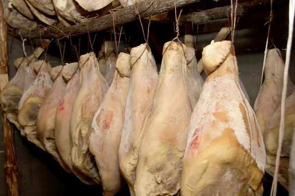 Tuzlanmış domuz jambon