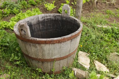 ahşap Konteyner Bahçe