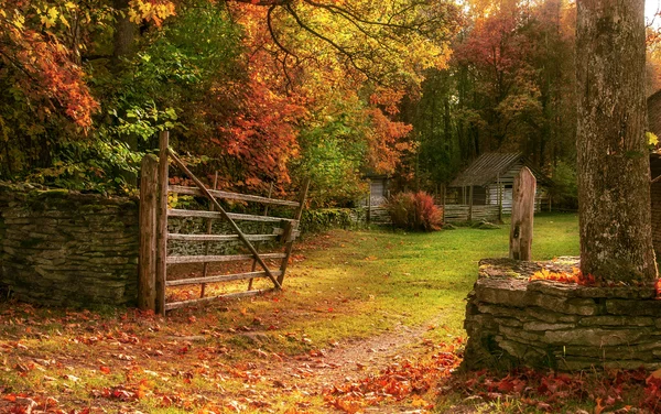 Jesień w gospodarstwie — Zdjęcie stockowe