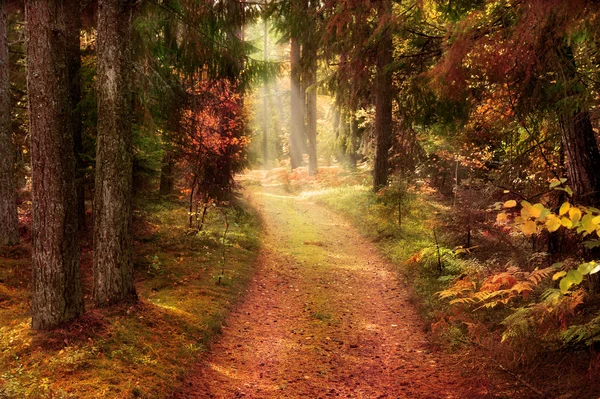 Weg naar de zon — Stockfoto