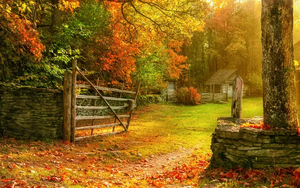 Outono na quinta — Fotografia de Stock