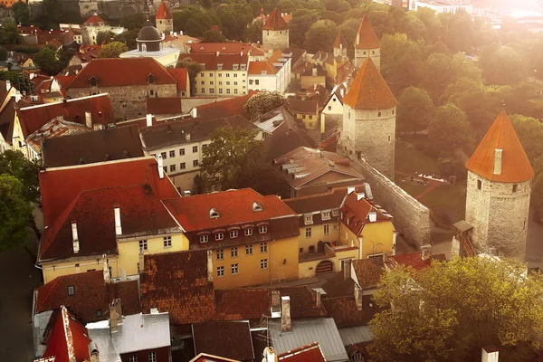 Tallinn from above — Stock Photo, Image