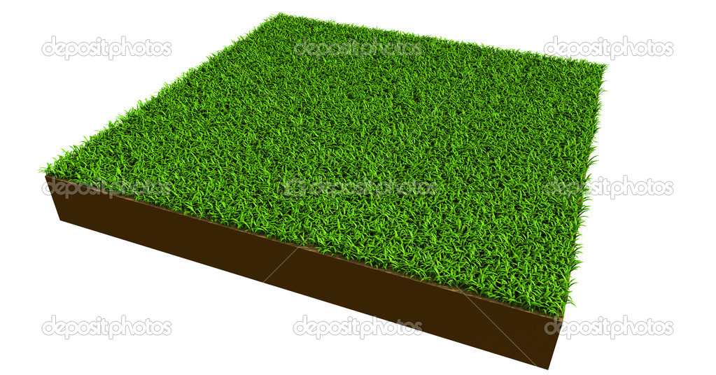 piece of grass on white background
