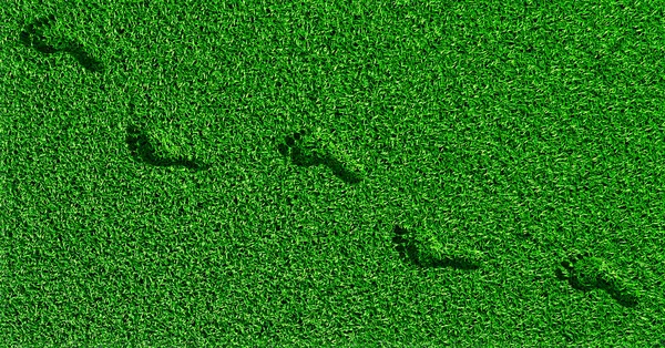 Следы на траве — стоковое фото