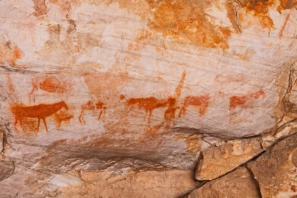 Batı Burnu 'ndaki Cederberg Dağları' nda kötü aşınmış San Rock sanatı. Güney Afrika