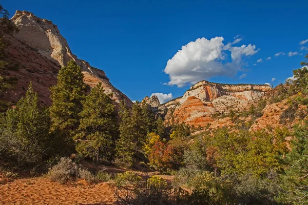 Zion National Park Landscape Zion Park Boulevard Springdale Utah — Foto Stock