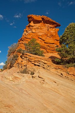 Zion National Park Landscape from Zion Park Boulevard near Springdale. Utah
