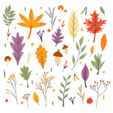 Bir demet sonbahar modası ikonu. Düşen meşe yaprakları, akçaağaç, böğürtlen ve mantar. Sonbahar sezonu elementlerinin koleksiyonu. Reklam ve tanıtım için çiçeklerle düz doğal vektör illüstrasyonu